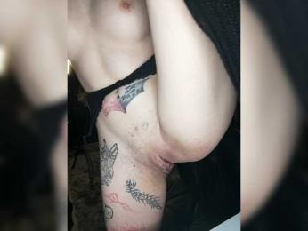 Myotoxis webcam model stream image