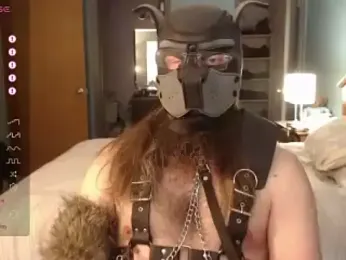 kinkywolf429 webcam stripchat model stream image