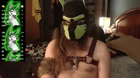 kinkywolf429 webcam stripchat model stream image