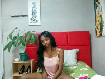 Brightness webcam model stream image