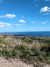 Samira-Summer webcam model stream image