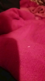 Vanentina_723 webcam model stream image