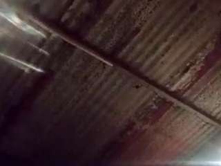 wackyeuphoria webcam model stream image