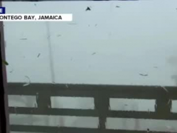 swolebbc webcam model stream image