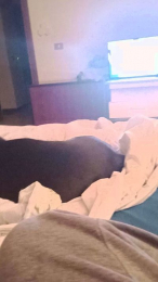 Lacoppia9679 webcam model stream image