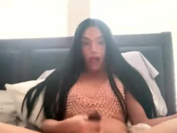 dynasty313 webcam chaturbate model stream image