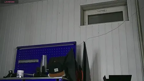 dustyn_fox webcam model stream image