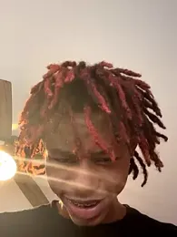 Zayinc webcam model stream image