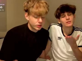 wesides webcam model stream image