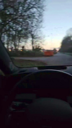 Wiesencoltx webcam model stream image