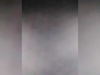 TISE webcam model stream image