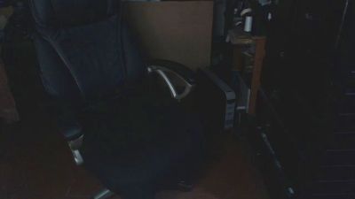 brfer webcam model stream image