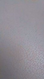 Casalmigles webcam model stream image