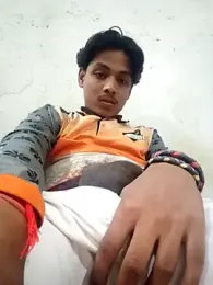 Denybigdick webcam model stream image