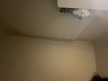 dvoi webcam model stream image