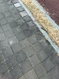 dvoi webcam model stream image