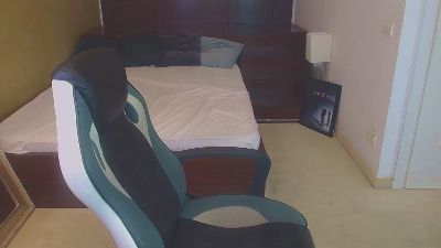 FelixRook webcam model stream image