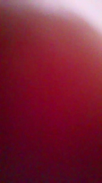 Evelynsexy1 webcam model stream image