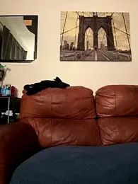 himNIGuys webcam stripchat model stream image