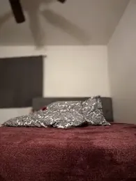 himNIGuys webcam model stream image