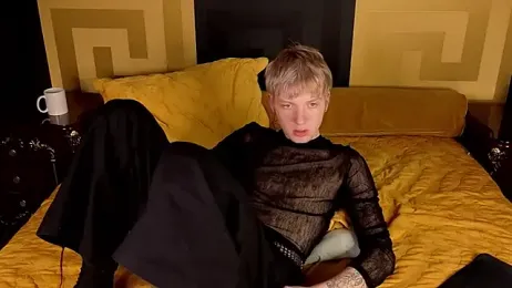 TRAVIS_CLAS webcam model stream image