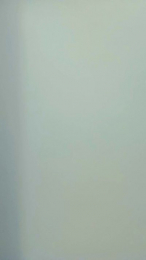 raserintegral2 webcam model stream image