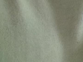 alice_psilocybe_sabina420 webcam model stream image