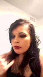 Mastershousepet webcam model stream image