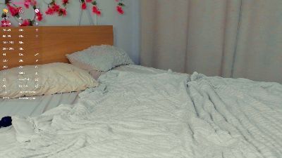 AraVacher webcam model stream image