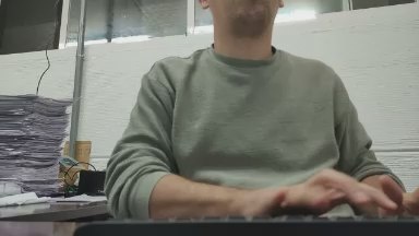 _play_ webcam model stream image