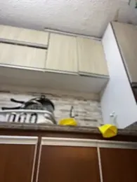 Salome_golvert webcam model stream image