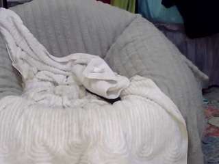 mrdllongcrippler webcam model stream image