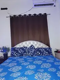 Bold-Cat 预览图