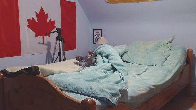 Andre124231 webcam model stream image