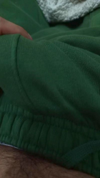 Paraguapy webcam model stream image