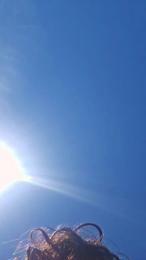 naturist__xl webcam cam4 model stream image