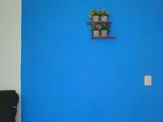 Christopher Wells webcam model stream image