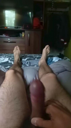 Pedroastor323 webcam cam4 model stream image