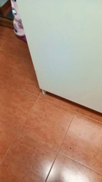 abierto334 webcam model stream image