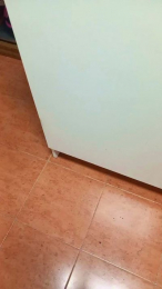 abierto334 webcam model stream image