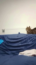 barbielacdescy4 webcam model stream image