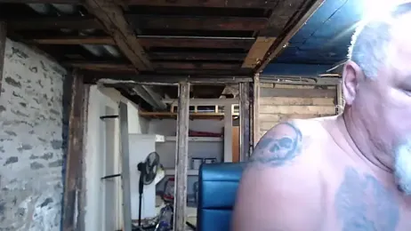 Newfiesausage1972 webcam model stream image