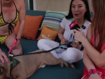 cb15 webcam model stream image