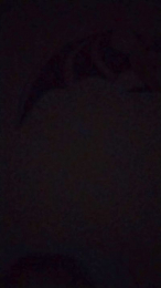 lapelos webcam model stream image