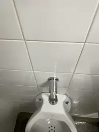 novinhosglbi webcam model stream image