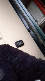 LaSfinge webcam model stream image