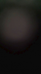 Paquete19 webcam model stream image