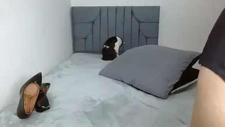 celeste_2023 webcam model stream image