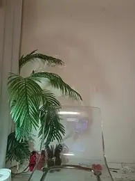 angel_eyees webcam model stream image