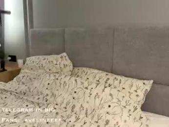 avelineee webcam chaturbate model stream image